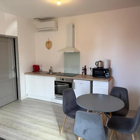 Le Corail - 1 Chambre, Idéal Couple, Parking, 10min Canal Du Midi Appartamento Castelsarrasin