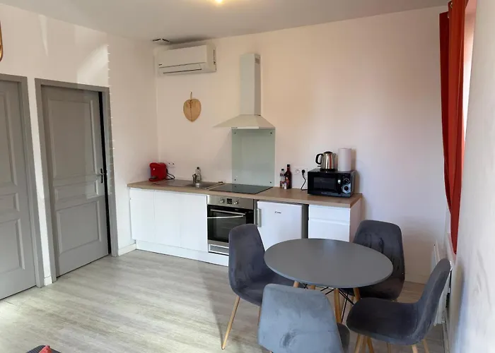 Le Corail - 1 Chambre, Idéal Couple, Parking, 10min Canal Du Midi Appartamento Castelsarrasin