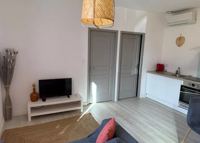 Appartamento Le Corail - 1 Chambre, Idéal Couple, Parking, 10min Canal Du Midi Castelsarrasin